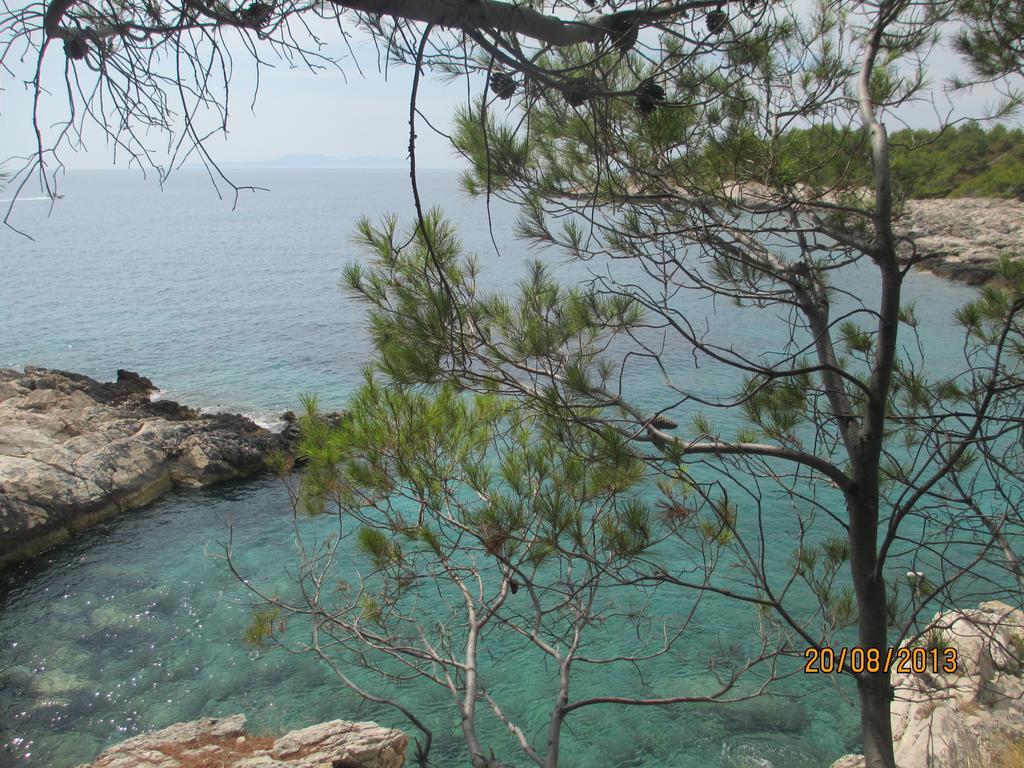 Apartment Falcon Stari Grad  Bagian luar foto