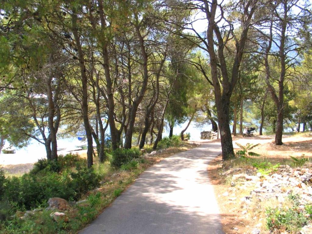 Apartment Falcon Stari Grad  Ruang foto