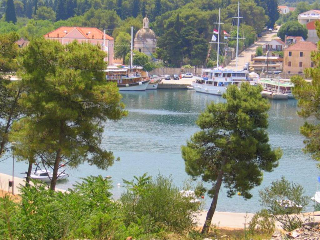 Apartment Falcon Stari Grad  Ruang foto