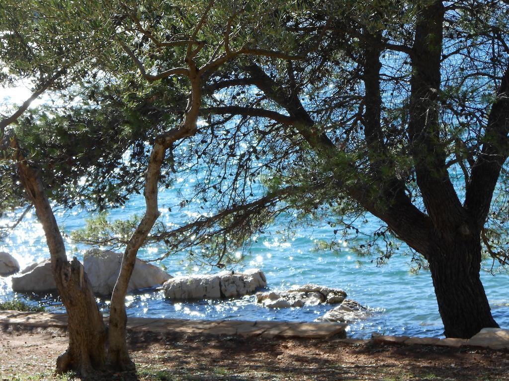 Apartment Falcon Stari Grad  Ruang foto