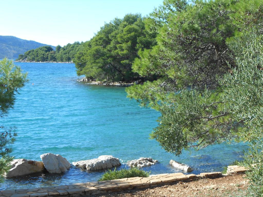 Apartment Falcon Stari Grad  Bagian luar foto