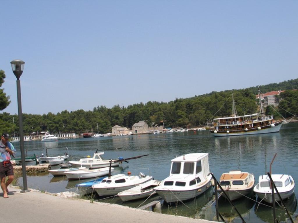 Apartment Falcon Stari Grad  Ruang foto