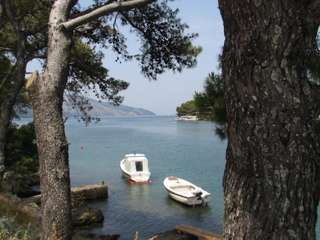 Apartment Falcon Stari Grad  Ruang foto