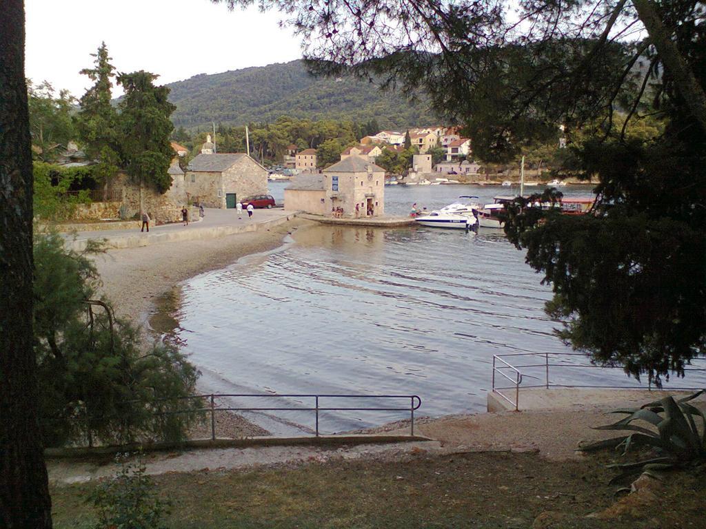 Apartment Falcon Stari Grad  Ruang foto